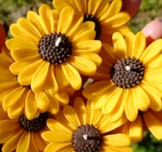 Sunflower Scented  Candle Set – Pack of 4